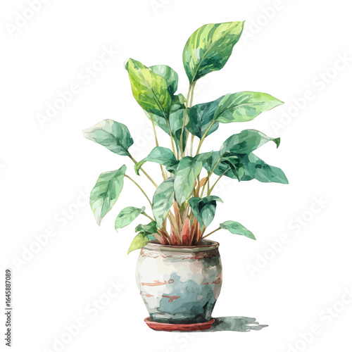 A watercolor painting of Cast Iron Plant, vector illustration on white background.