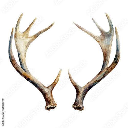Christmas Reindeer Antlers in watercolor style, vector illustration, isolated on white background.