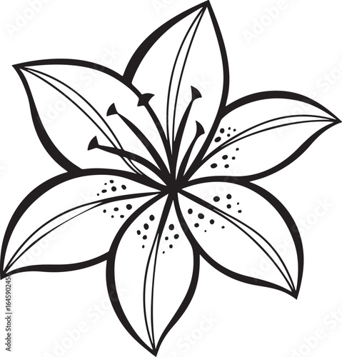 Elegant black and white lily flower line art with delicate petals and fine detail, perfect for tattoo design, botanical illustration, minimal decor, and floral graphic artwork projects.