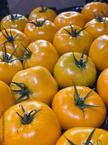 yellow tomatoes big on the counter in the store background