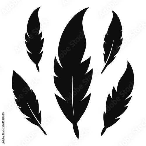 silhouette set of feather