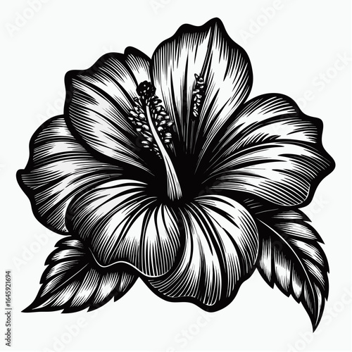 Slightly Poetic or Elegant