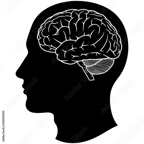 Silhouette of a human head with a visible brain representing intelligence and cognitive function