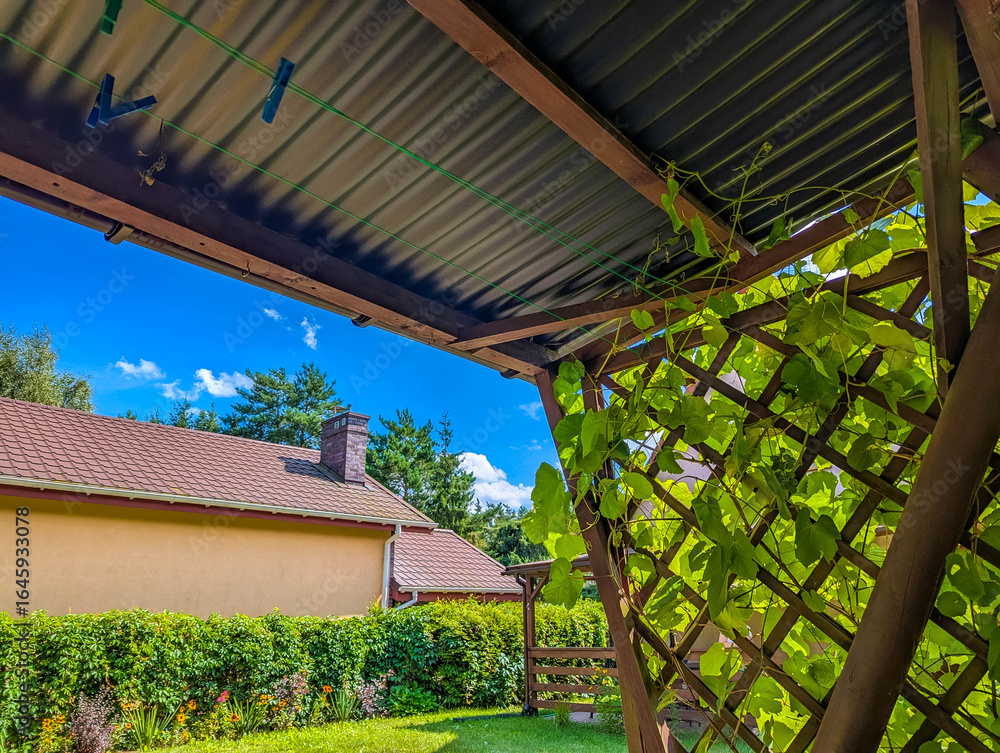 Fototapeta premium Wooden garden pergola with lattice design creating dappled sunlight patterns over outdoor relaxation area