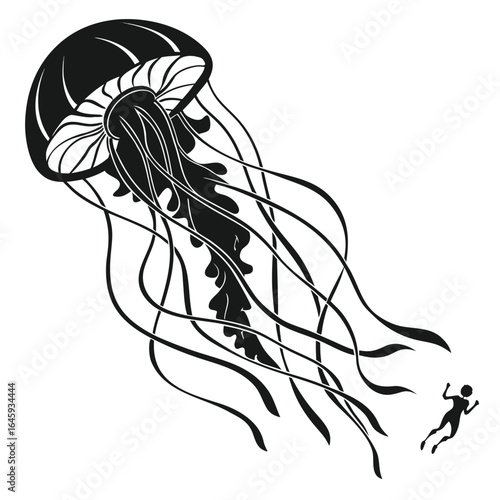 Jellyfish drifting in ocean silhouette