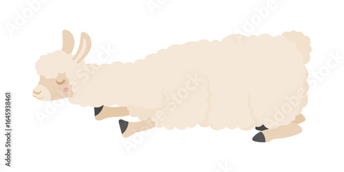 Cute cartoon llama. Vector illustration isolated on white background. Llama cartoon design, Animal cute zoo life nature character childhood and adorable theme Vector illustration
