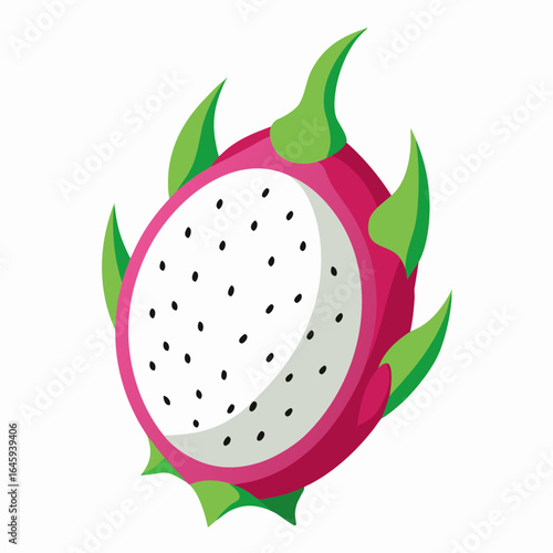 dragon fruit vector illustration