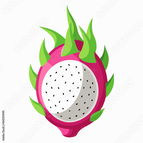 vector illustration of a kiwi fruit