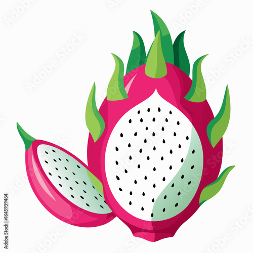 vector illustration of an apple