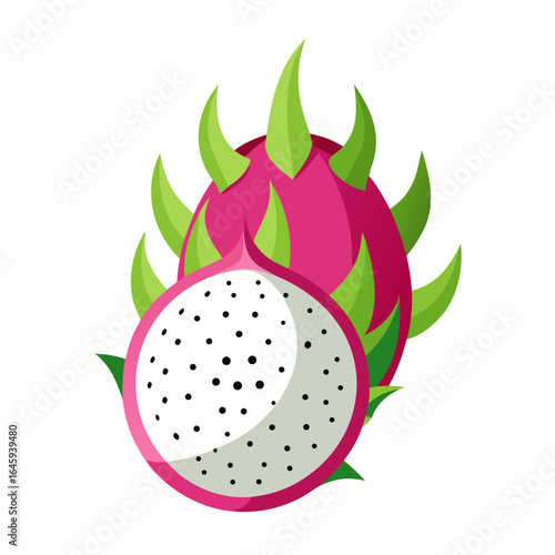 vector illustration of an apple