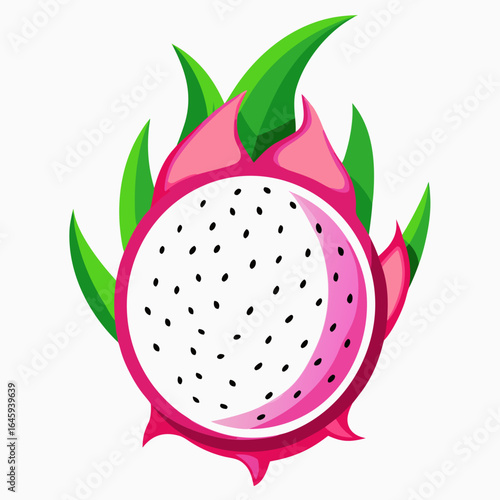 vector illustration of a dragon fruit