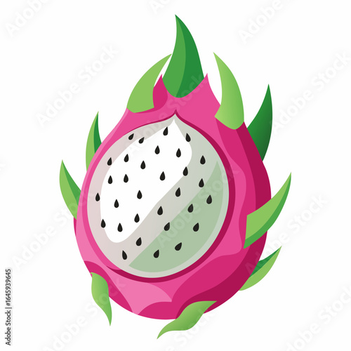 dragon fruit vector illustration