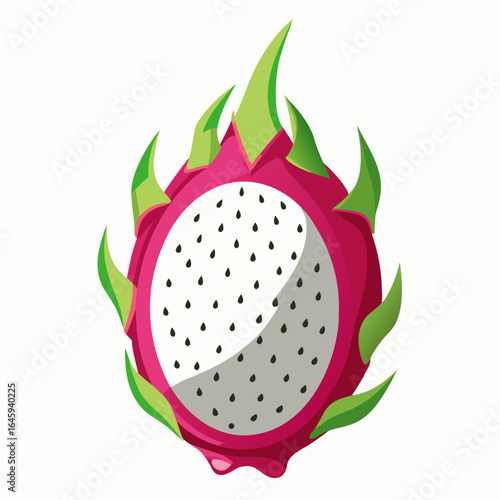 vector illustration of an apple