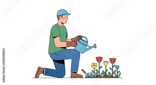 Gardener tending tulip garden with a watering can in a minimalist illustration style for springtime scenes and horticulture themes