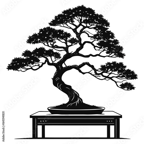 Bonsai tree on table silhouette