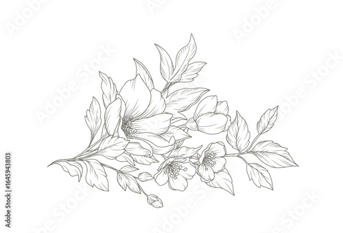 Hand drawn floral composition in line art style. Elegant frame of flowers, branches and leaves. Sketch botanical elements. Vector illustration for logo, tattoo, save the date card, wedding invitation