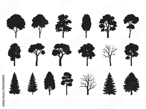 Silhouette of various tree types isolated on white background a collection of graphic elements depicting deciduous and coniferous trees for naturethemed designs