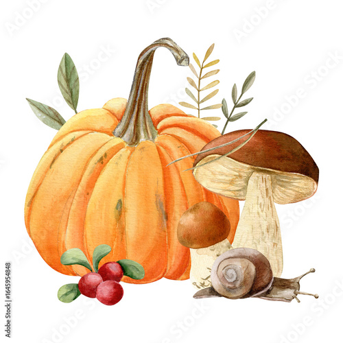 Hand-drawn watercolor composition of pumpkin, wild mushrooms, berries, twigs, and a snail. Autumn composotion. Thanksgiving day. 