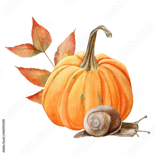 Hand-drawn watercolor composition of pumpkin, ash leaf,  a snail with soft, delicate gradients of orange, yellow, red and green tones. Autumn vibes. The atrwork. Autumn composotion. Thanksgiving day. 