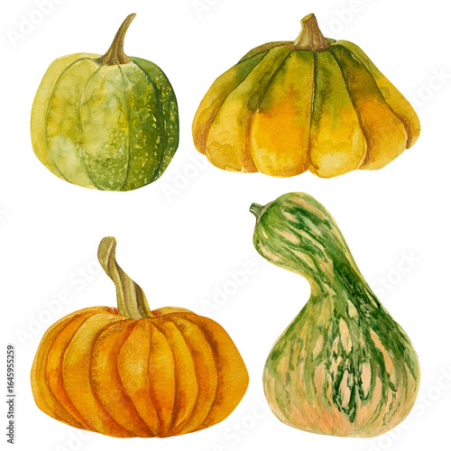 watercolor hand drawn autumn set of an orange and green pumpkins. harvest vegetable isolated. perfect for fall design, thanksgiving decor, hallowen decor, seasonal invitations, and botanical prints