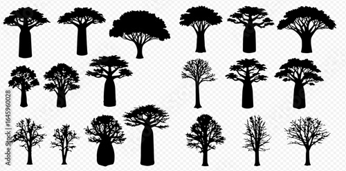 A diverse collection of black tree silhouettes, featuring iconic Baobab trees and other deciduous species with and without leaves.
