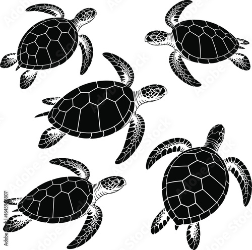 Sea Turtle Silhouette, Marine Turtle Silhouette, Ocean Animal Silhouette, Sea Turtle Vector, Aquatic Wildlife Silhouette