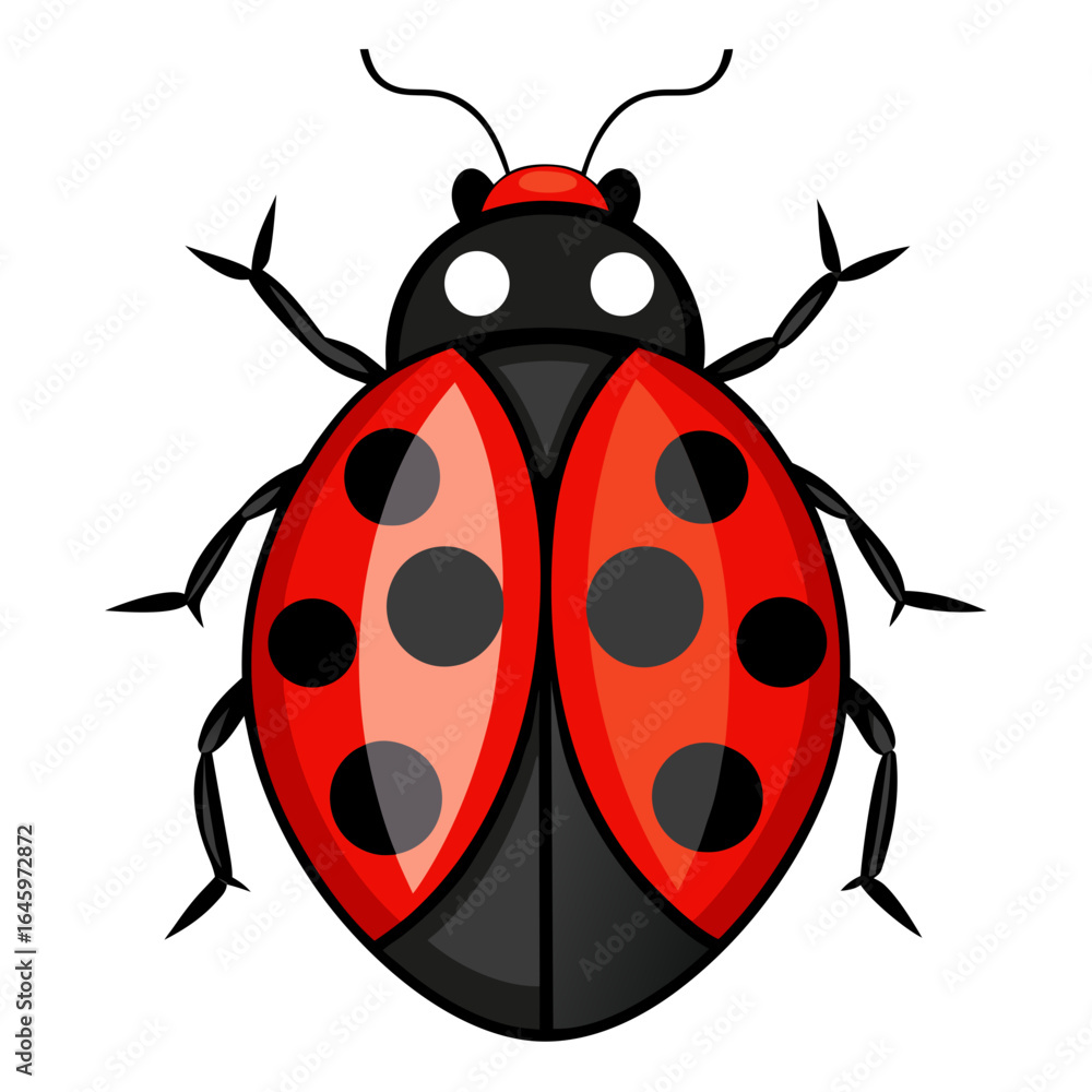 Obraz premium Sleek Ladybug Vector Design White Background