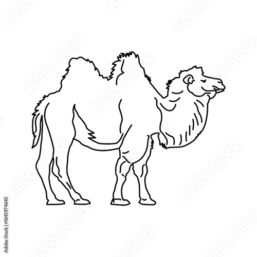 Camel icon design template SVG