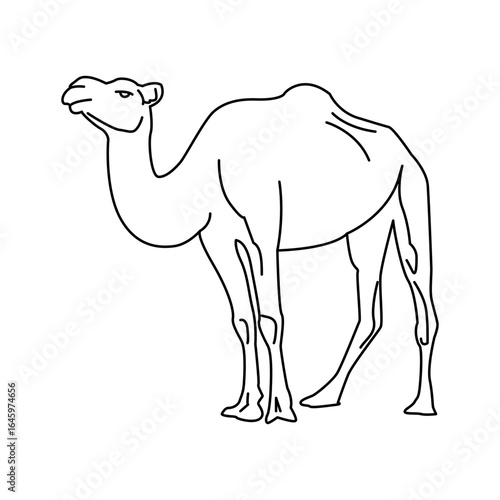 Camel icon design template SVG