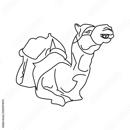 Camel icon design template SVG