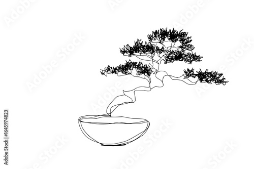 A minimalistic line drawing of a bonsai tree in a pot with a white background shown in the image