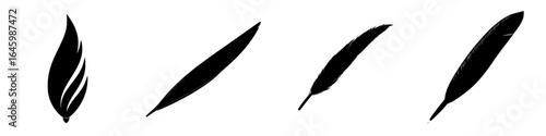 Various black feather designs arranged in sequence showcasing different shapes and styles for artistic inspiration