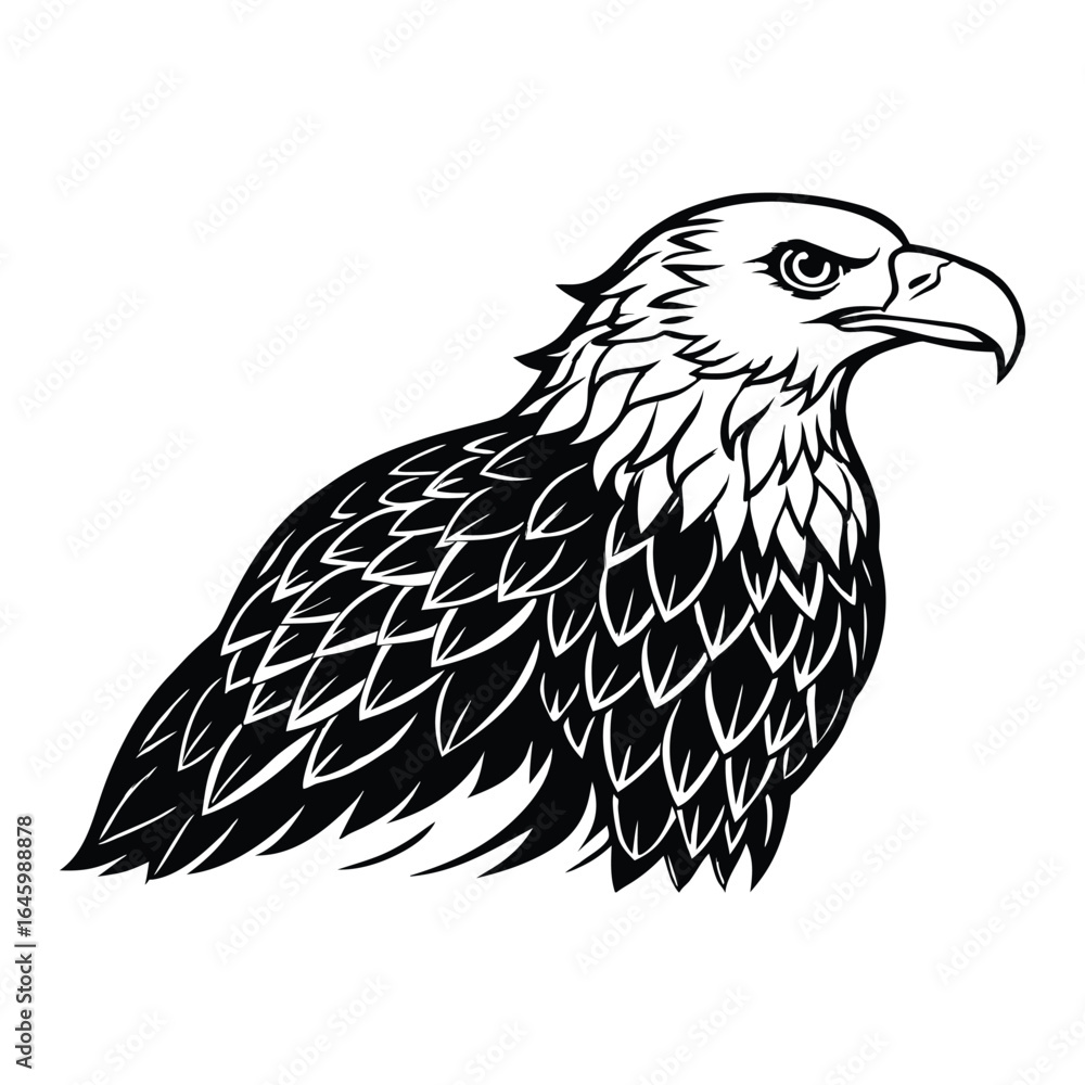 Fototapeta premium Silhouette of bald eagle isolated on a white background