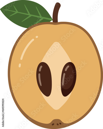 Fresh sapodilla fruit slice with seeds