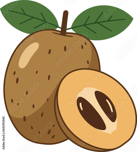 Sapodilla fruit illustration tropical sweetness