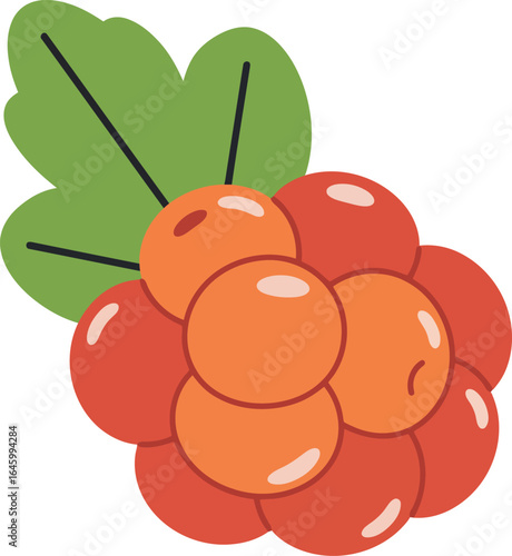 Cloudberry fruit illustration nordic berry
