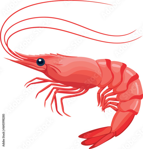 Vibrant red shrimp illustration isolated on white