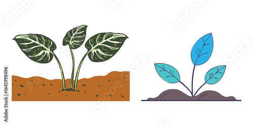 Green plants on soil illustration