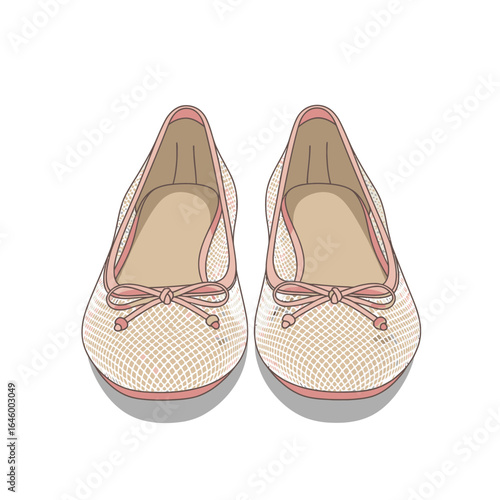 Chic and Comfortable: Pair of Fashionable Ballet Flats, Elegant Women's Shoes for Everyday Wear and Special Occasions