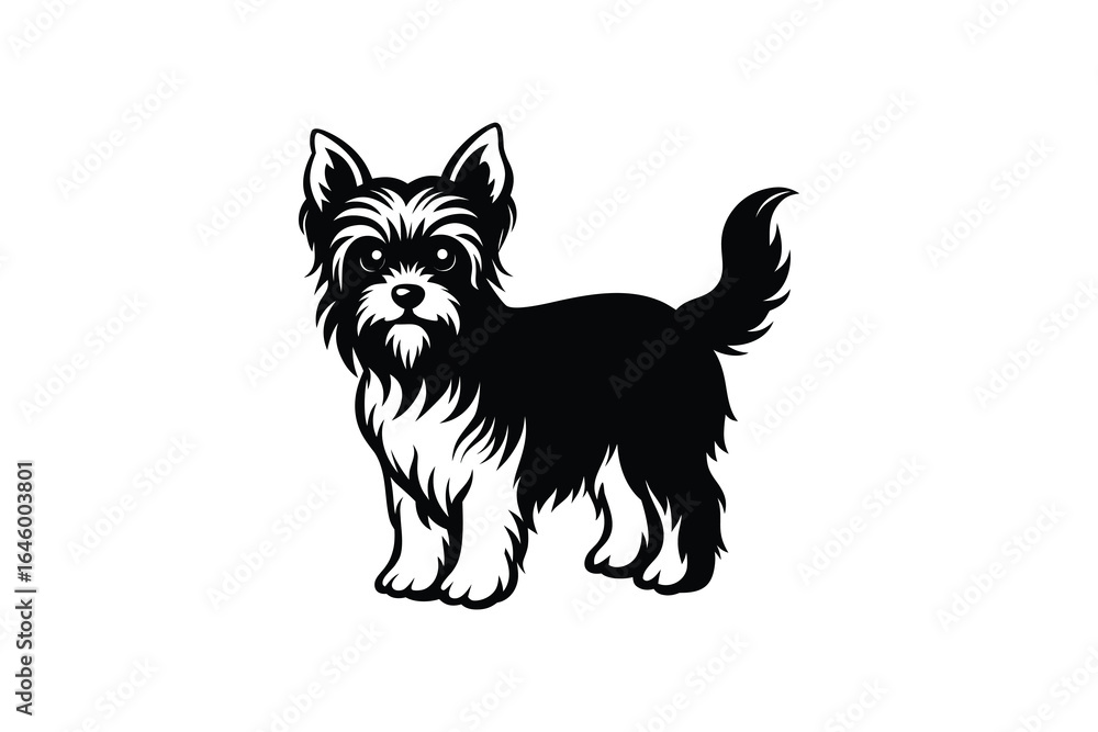Fototapeta premium Black and white illustration of a small Yorkshire Terrier dog standing on a white background with detailed fur texture silhouette