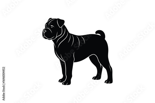 Black silhouette of a Shar Pei dog standing and looking to the left with white highlights on a white background