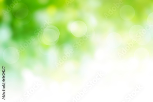 Green bokeh abstract background blur
