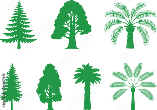 Evergreen coniferous deciduous and palm trees nature