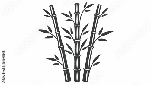 Illustration of three bamboo stalks with leaves on a white background art