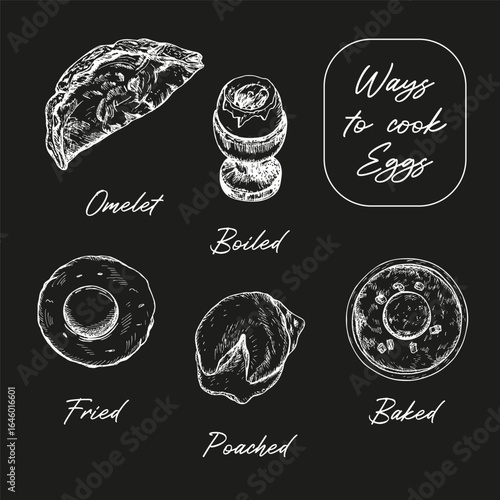 Boiled, fried, baked, poached eggs, and omelet hand-drawn sketch outline illustration. Ways to cook eggs infographic. A set of methods for preparing egg dishes. Vector line art drawings