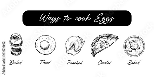 A collection of prepared egg methods - sketch outline drawings. Ways to cook eggs infographic. Boiled, fried, baked, poached egg, and omelet. Hand drawn vector line art illustrations