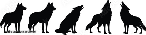 Wolf silhouette vector, wild animal howling, black isolated design, canine wildlife illustration, predator graphic art, forest creature, nature concept, standing and sitting poses