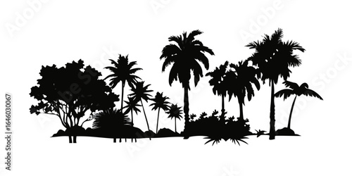 Silhouette of a tropical palm tree forest at night