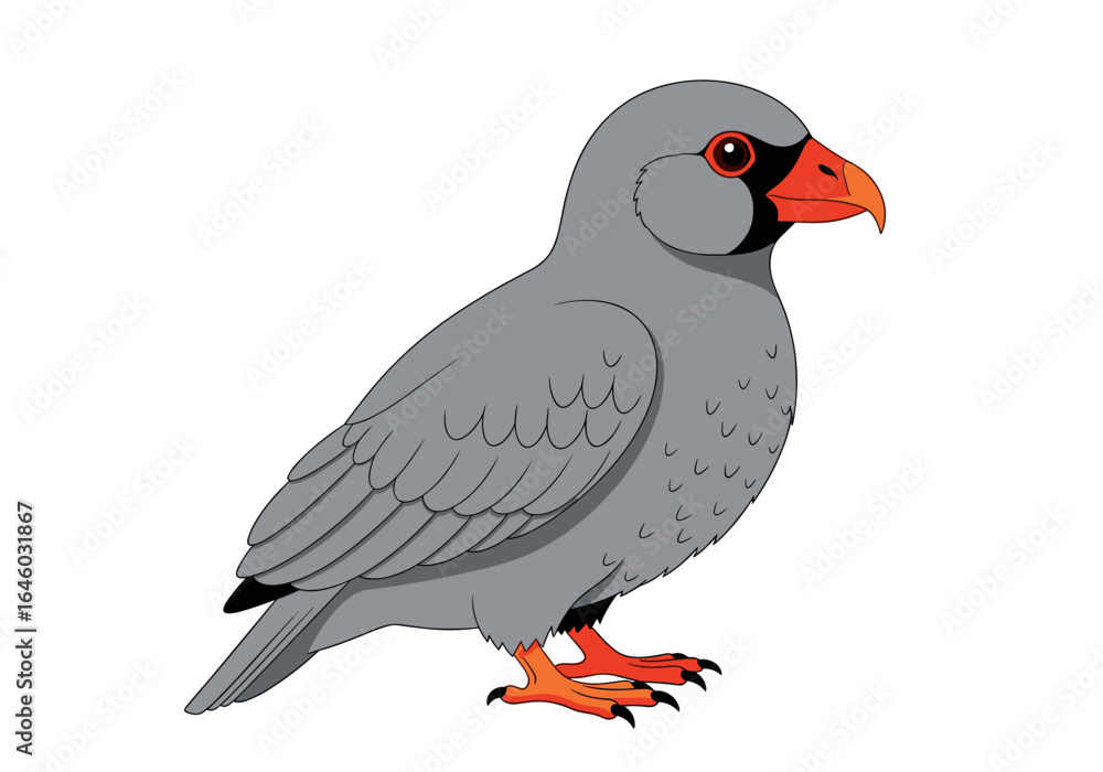 Obraz premium A detailed illustration of a unique gray bird with a bright orange beak and feet standing proudly