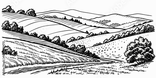 black and white pen ink drawing of rolling hills countryside landscape with fields and trees